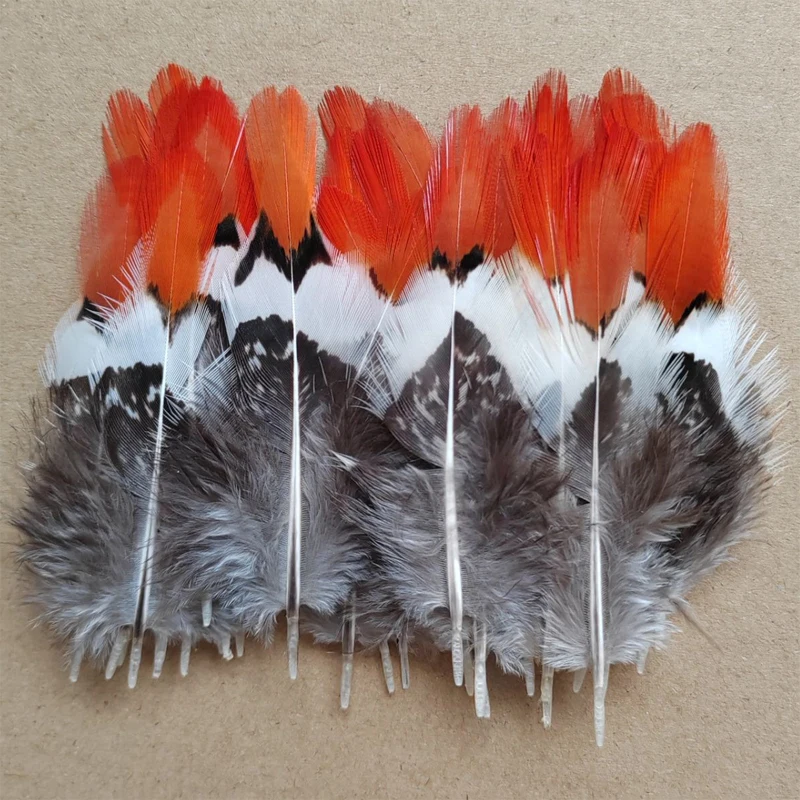 

100Pcs/Lot 2-4 inches 5-10CM Pheasant Feathers, Lady Amherst Feather, Orange Red Tipped,Wholesale lot.