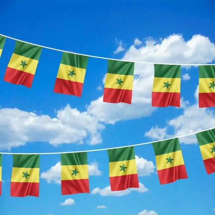 （SKY FLAG）Senegal Bunting Flags 14x21cm 20pcs/lot polyester Senegal String Flags Pennant Banner Festival Party Holiday for Decor