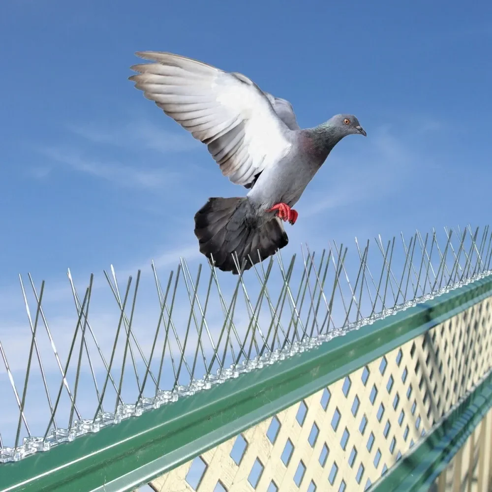 Stainless Steel Bird Deterrent,Durable Pigeon Repellent for Birds and Cat, Anti Climb Security Wall Fence
