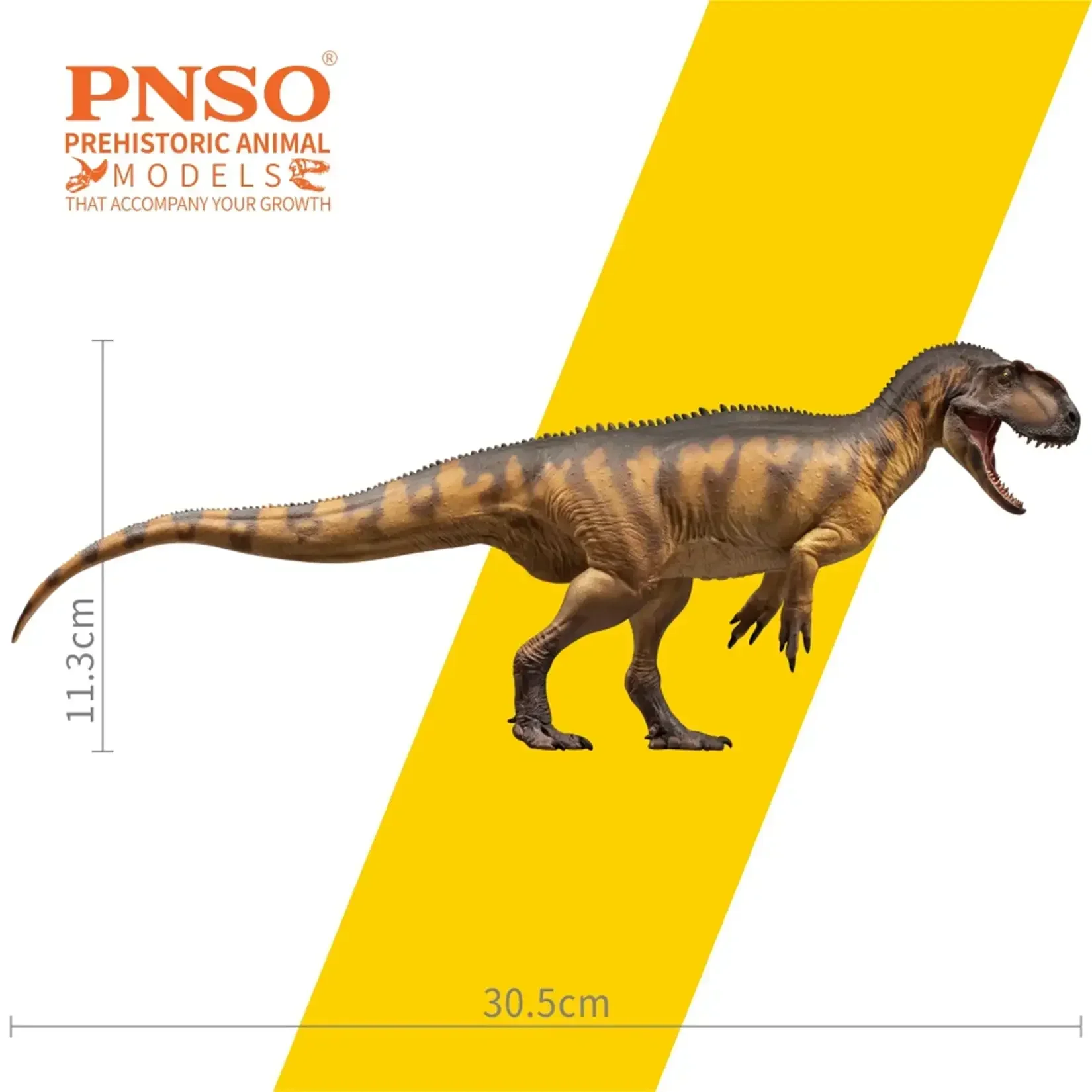 PNSO 76 Yangchuanosaurus Magnus Dapeng Model Theropoda Sinraptoridae Scientific Dinosaur Educational Collection GK Animal Decor