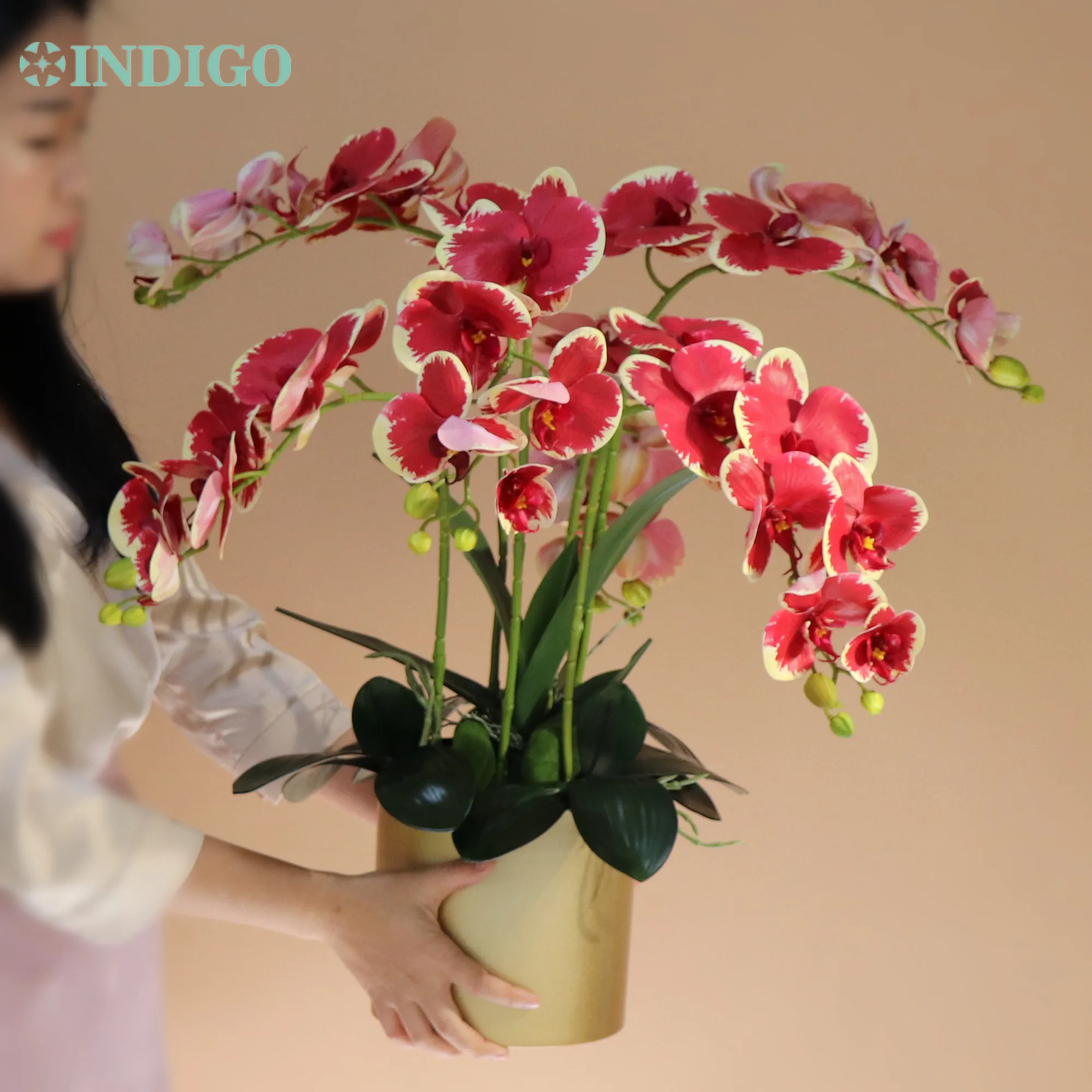 

INDIGO-Artificial Flower Arrangment Party Centerpiece, Red Phalaenopsis, Orchid Leaves Moss Vase, Big Size, 60x60cm, DIY