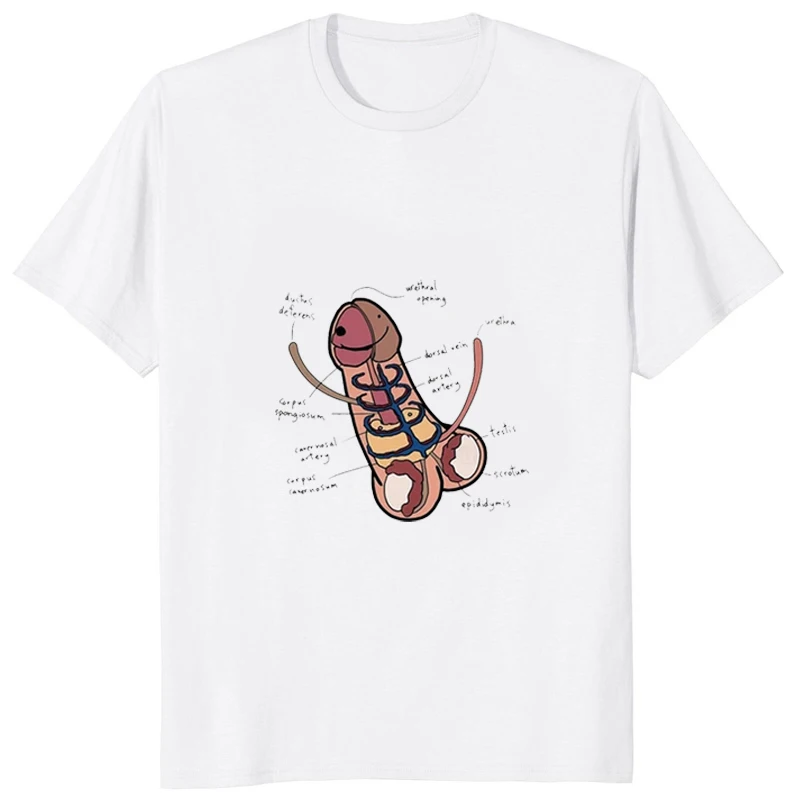 New Arrival The Anatomy of A Penis Funny Printed Man Tshirt Humors Joke Novel Educational Shirt  Hip Hop Streetwear Casual Tees