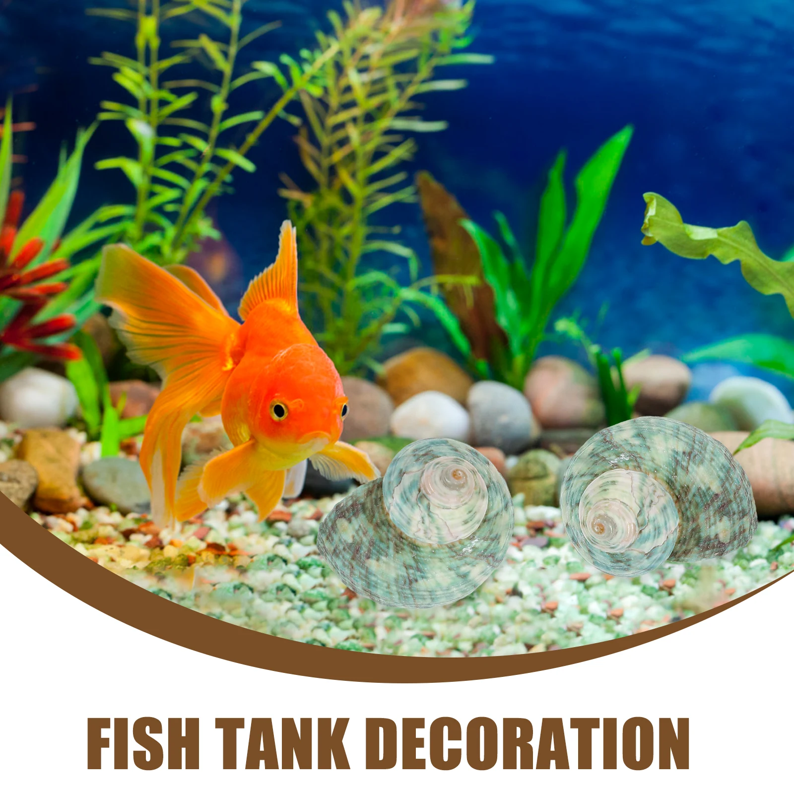 

Natural Conch Shell Ornaments Aquarium Decor Mixed Patterns Sea Shells Fish Tank Landscaping Props Home Decorations