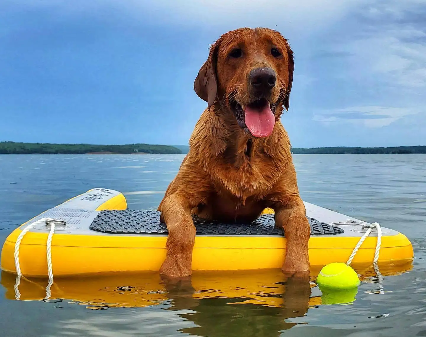 Tragbare aufblasbare Haustier rampe aufblasbare Welpen planke Hund auf Wasser rampe Dock für Pool, See, Boote oder jede Plattform