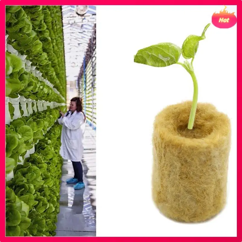 

100 шт., почлевая посадка, губка для выращивания сада, стартовые кубики, пробка из каменной шерсти, беспочвенная культуральная субстрат