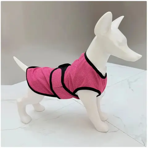 Gilet rinfrescante per cani Colori multipli disponibili Abbigliamento comfort emotivo per animali domestici Giacca leggera e fresca Forniture per animali domestici