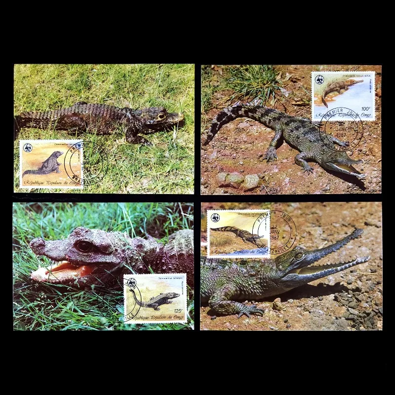 Republic of the Congo, 1987, Crocodile, Post Stamp, WWF, Maximum Postcard