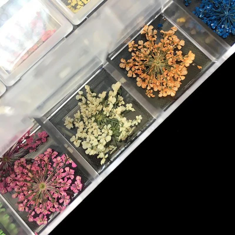 12色3Dネイルアートデコレーション本物のドライフラワーUVジェルアクリルネイルアートチップDIYネイルアクセサリービューティーメイクアップ用