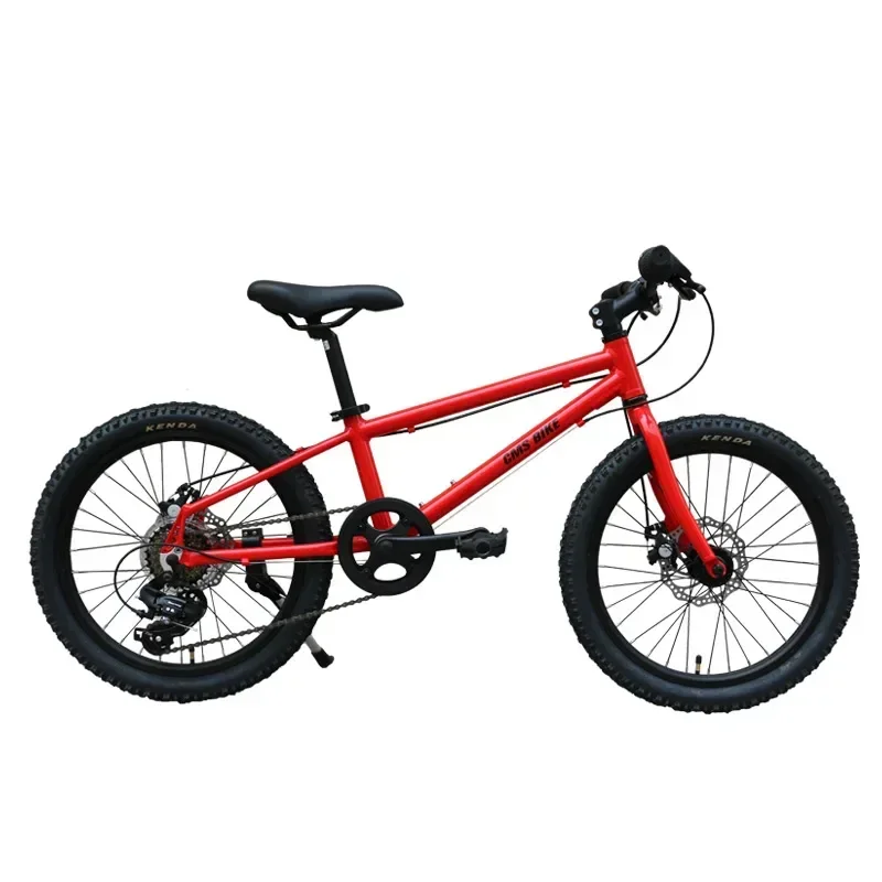 Aluminum Alloy Mountain Bike Boys and Girls Primary School Students Middle and Older Children Variable Speed Ultra-Light Bicycle