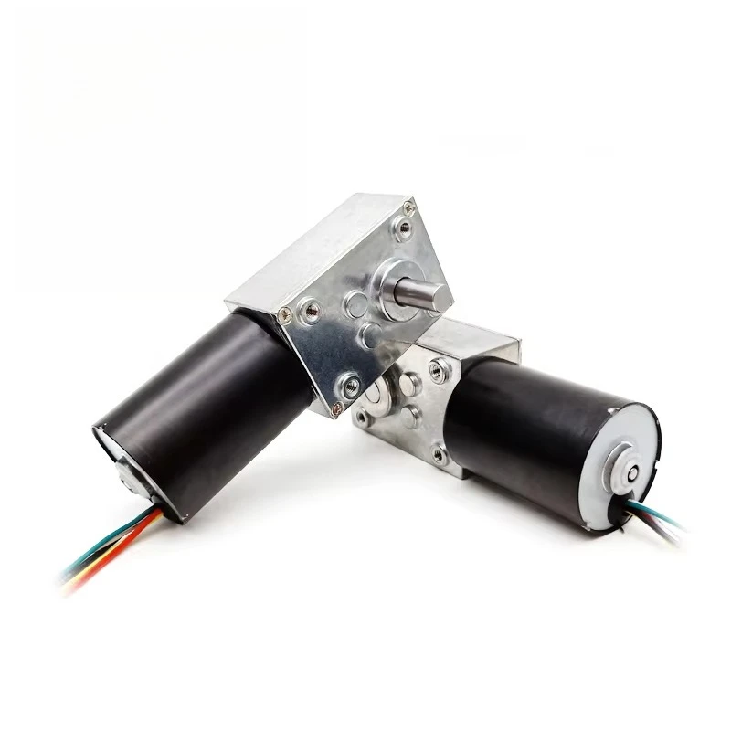 

4058 Brushless DC Worm Gear Motor 1Nm High Torque Permanent Magnet Structure 12V 24v Worm Gear Motor