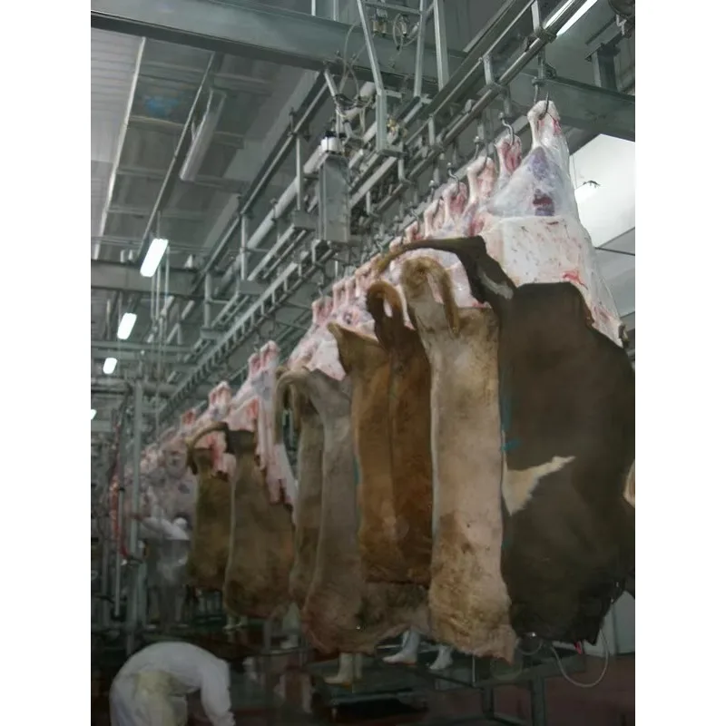 Modern Cattle Slaughter Equipment User-Friendly Easy-Operation Abattoir Machinery for Beef Processing Motor Bearing Core