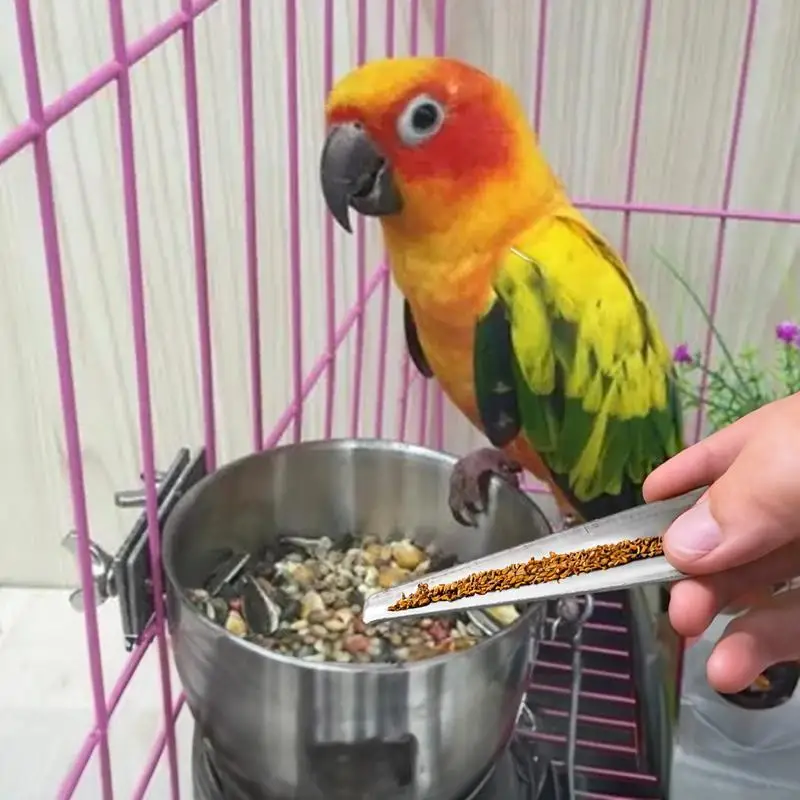 Bird Feeding Spoon Stainless Steel Parrot Adding Feeding Scoops With Long Handle Hand Food Feeding Tableware Spoon Birds Feeding