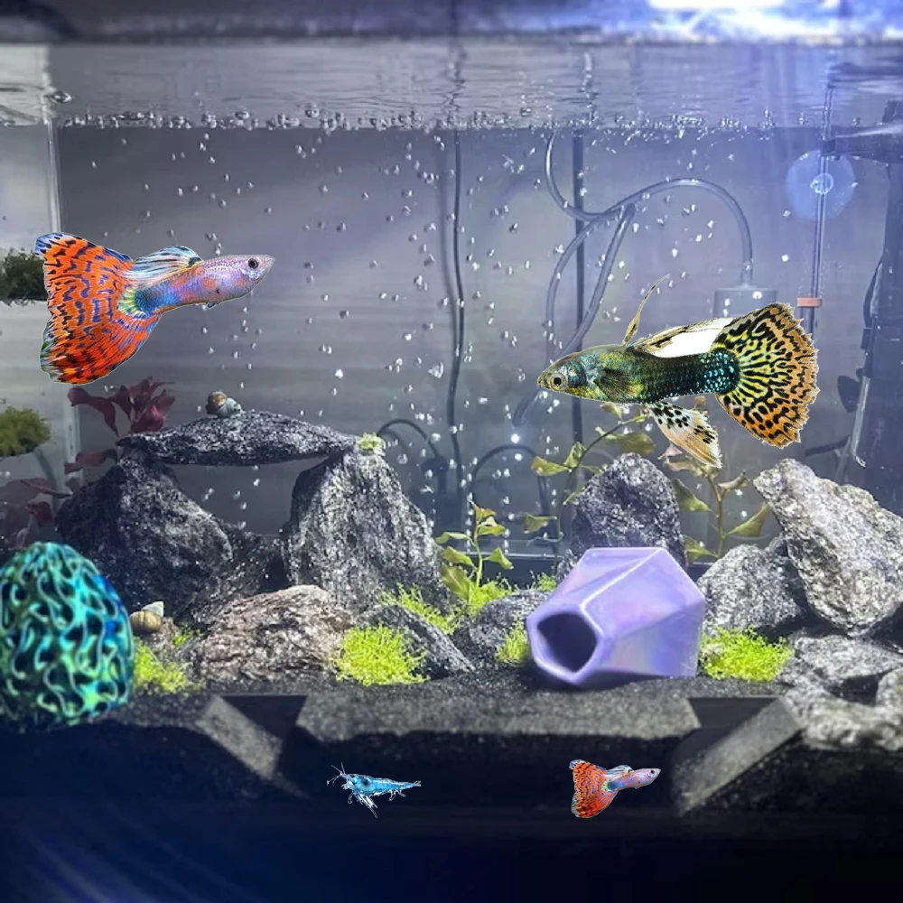 

Aquarium cave Underground Aquarium Tunnel Fish Hide for Shrimp and Fish play and resting place