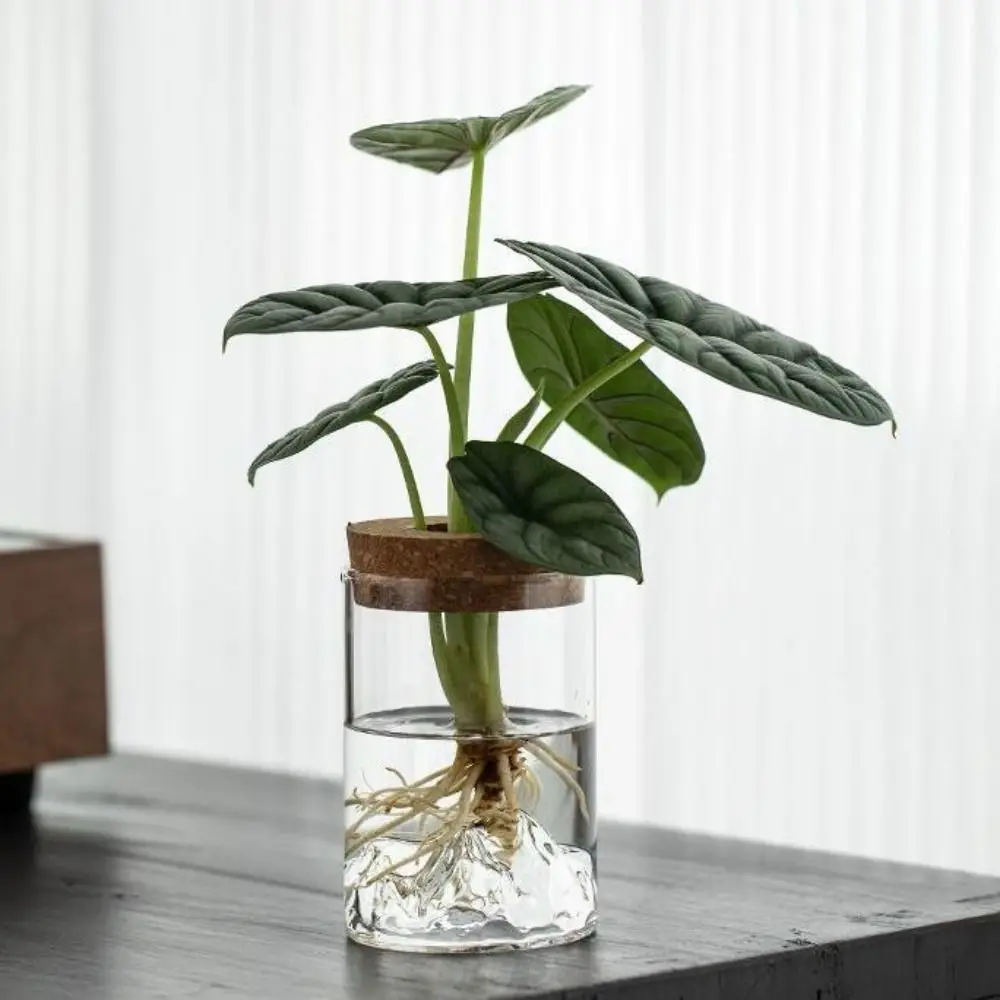 Flower Arrangement Bottle Glass Flower Vase Thickened Transparent Hydroponic Flower Holder Creative Mini Flower Pot Fish Tank