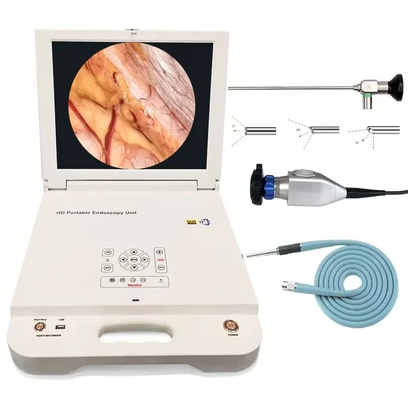 AP04 for Portable Full HD Medical Endoscopy Camera System with LED Light Source Ent
