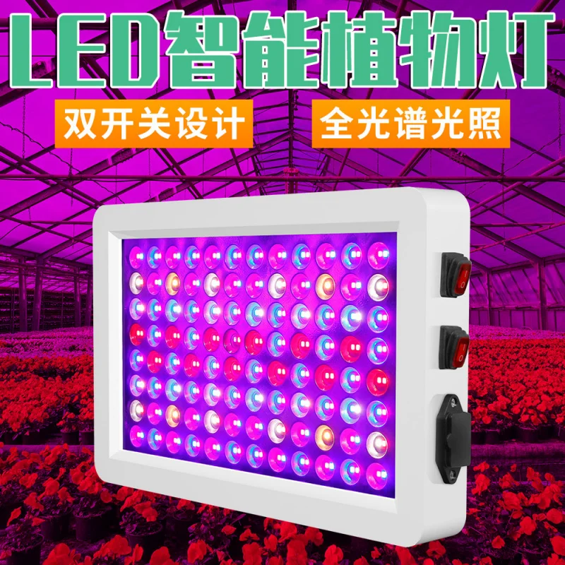 للدفيئة العنب LED تنمو ضوء الطيف الكامل ذكي ملء ضوء داخلي زهرة عصارية التلوين مكافحة الإضاءة الطويلة