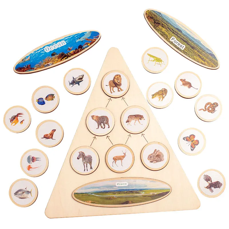 Animal Food Chain Montessori Educational Toys for Children STEM Biology Science Matching Board Parish Material Kids Learning Toy