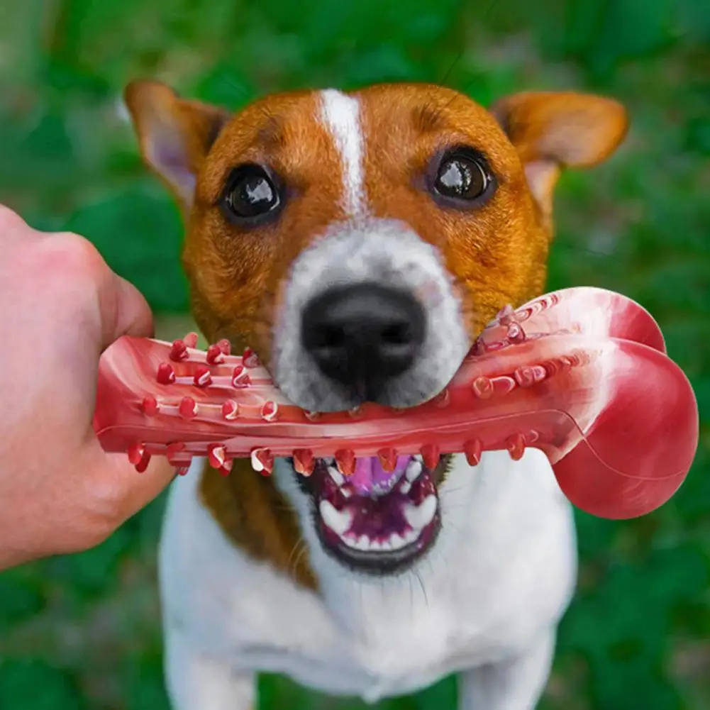 Natural Rubber Chew Toy  Dogs Dental Cleaning Bone with Beef Flavor Teething Relief Safe Dog Toy for Large Breeds