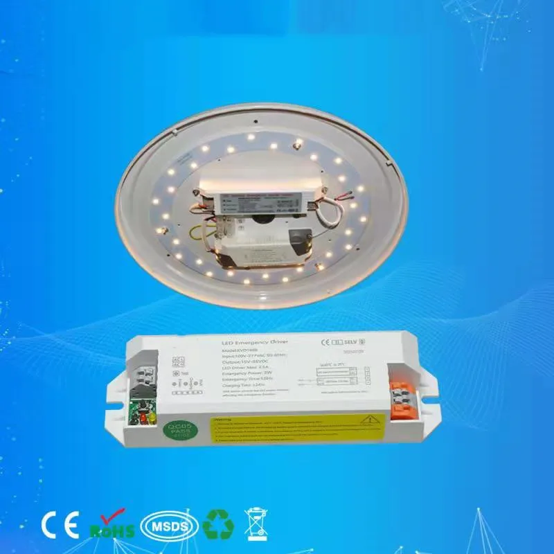 Free Shipping Hot Selling Emergency LED Driver 100-265 Volt AC Input 15-80 Volt DC Output 3Watt Output
