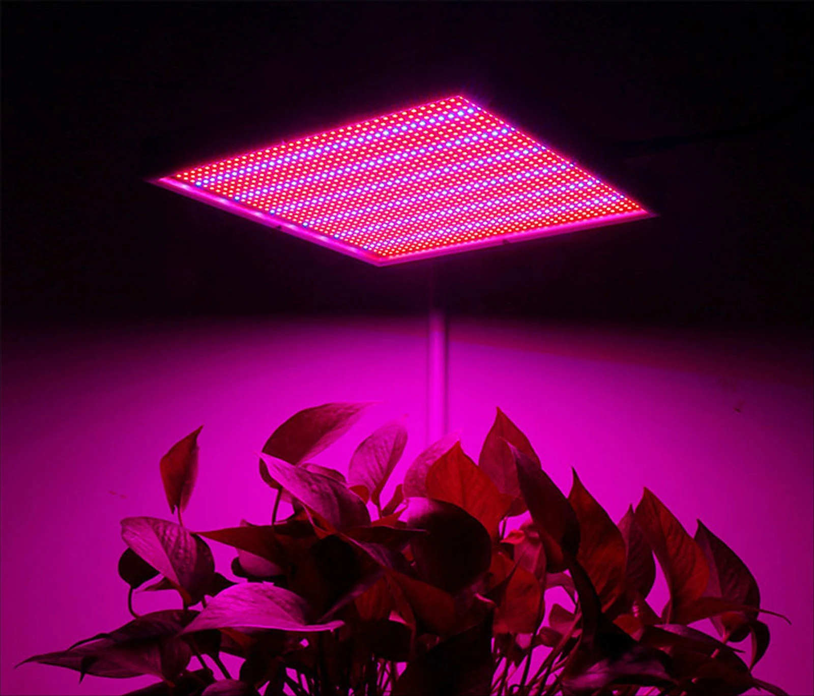 

120 Вт Красный Синий Спектр 450 нм 630 нм Светодиодная тонкая и световая панель для выращивания света Крытый и открытый заполняющий свет для теплицы