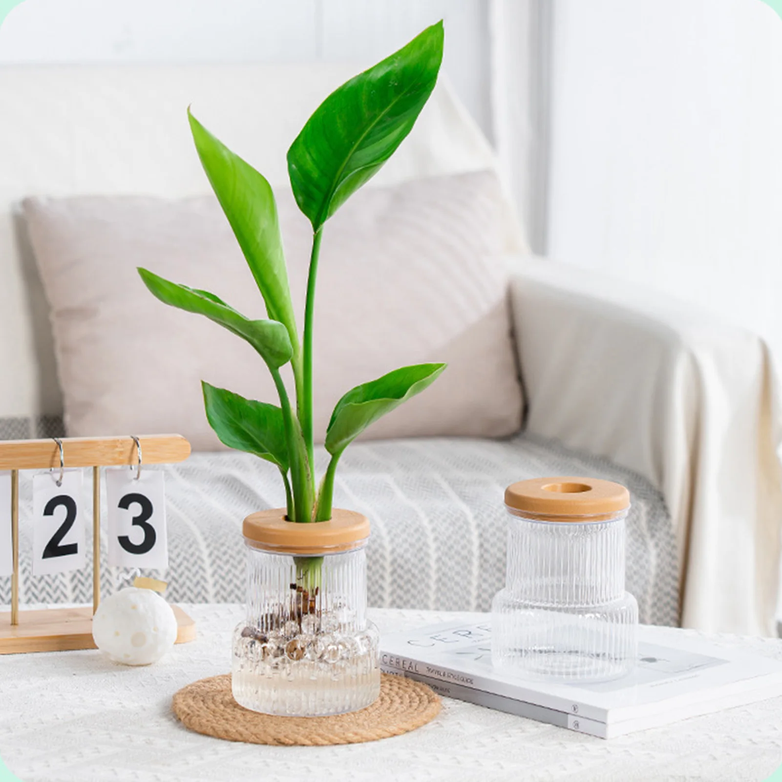 Self-absorbtion Water Vase Desktop Hydroponic Vase with Lid Dual-Layer Vertical Striped Design for Indoor Gardening