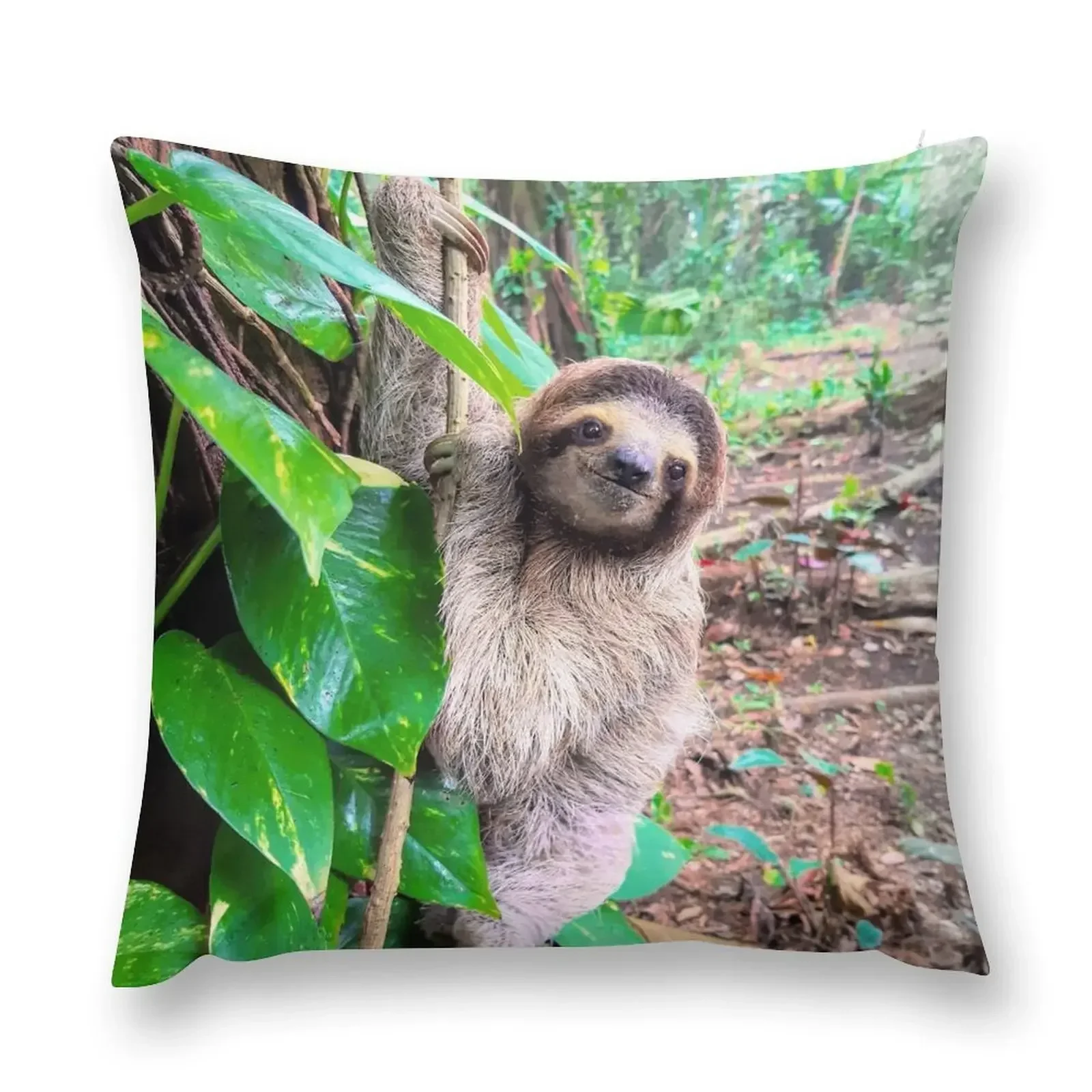 

Baby, sloth, jungle, rainforest, Pura Vida, Costa Rica, cute sloths Throw Pillow covers for pillows bed pillows pillow