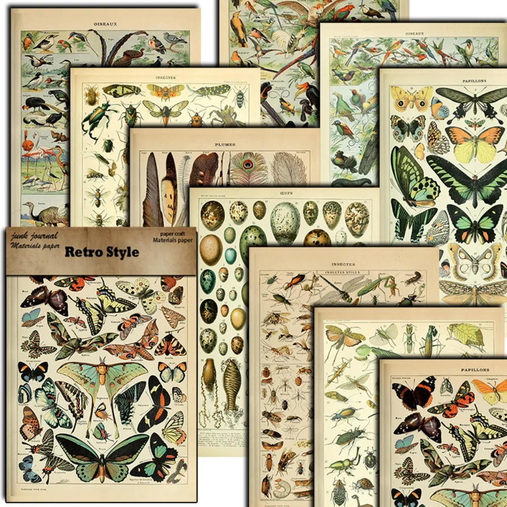 10Sheets/Set Insect Butterfly Catalog Scrapbook Graffiti Stickers Material Paper Decorative Paper Animal Students Stationery Kid