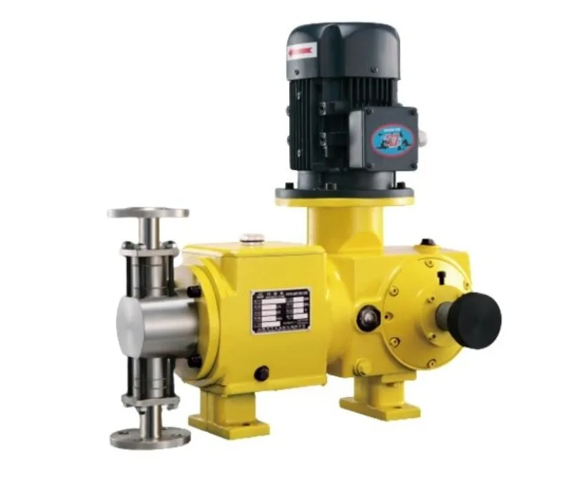 High Performance and Price Ratio Plunger Chemical Metering Pump