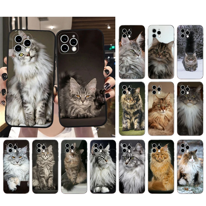 Phone Case For iphone 16 15 14 Pro Max 16 15 14 13 12 Pro 15Plus iphone 11 Maine Coon Cat Case Funda