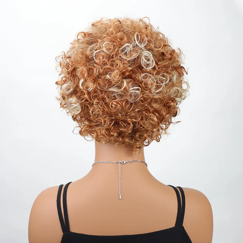 SQRDGQ Syntetic Hair Woman Wigs Short Kinky Curly Wigs for Black Women Brown Blonde Wig Female Daily Party Cosplay Wig Woman