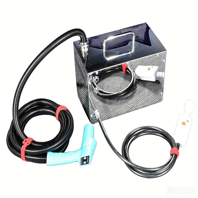 Stainless Steel Handheld High Temperature Steam Cleaner Portable Mini Steam Washing Machine Anti-Leakage Protection Long Hose