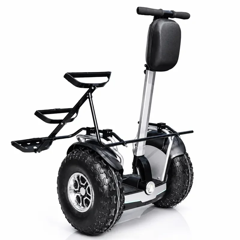 Two Wheeled Self Balancing Electric Scooter for Adults and Adolescents Lithium Battery 150kg Load Bearing Foldable Waterproof