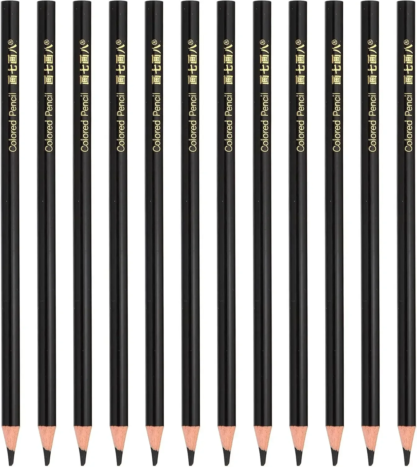 

12-Piece Black Oil Color Pencils Set, Wooden Drawing Pencils for Artists and Art Painting