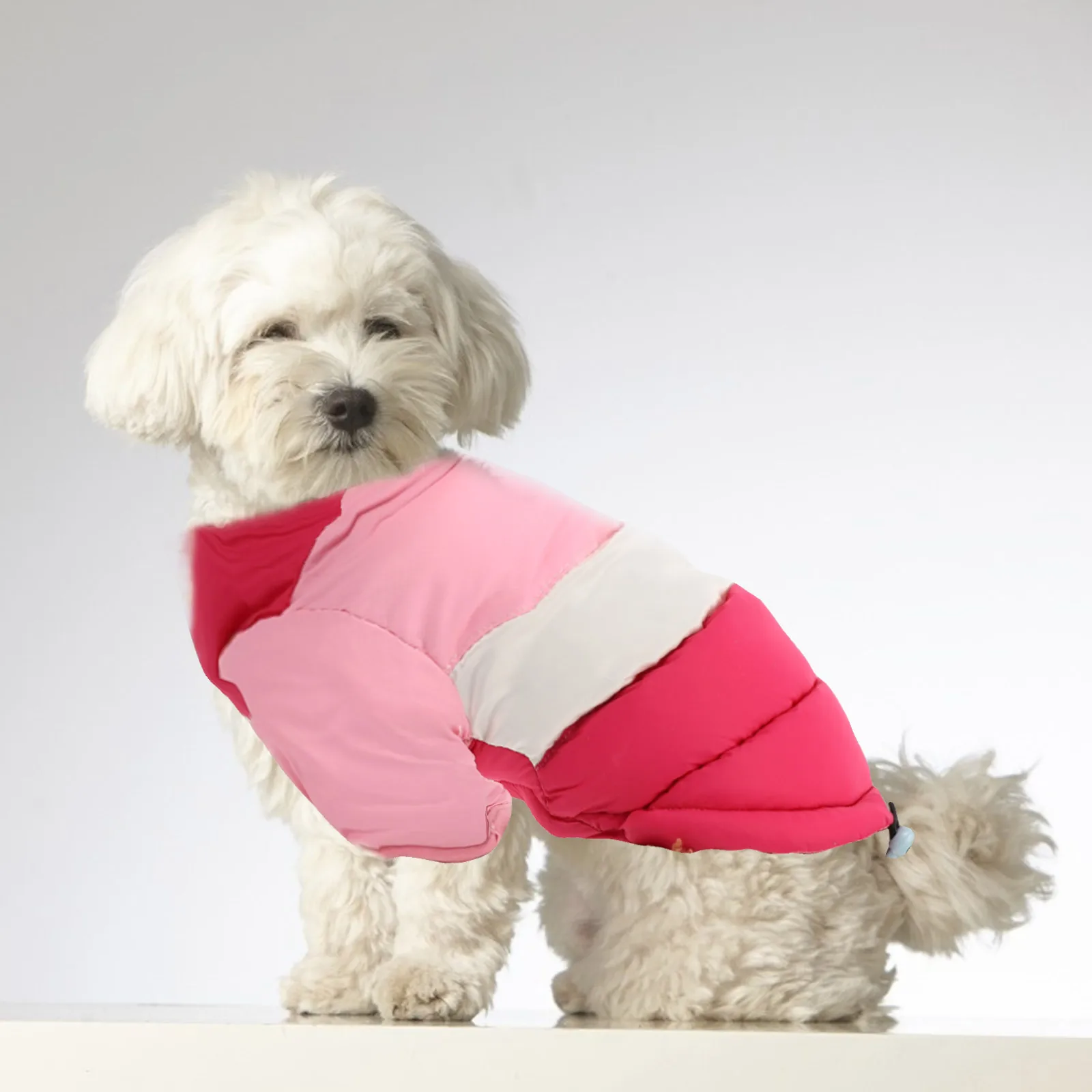 

Winter Jacket Pet Clothes Puppy Coat Adjustable Size Fashion Design Durable Hoodie Dog Wear Warm Clothing Long Lasting Outdoor