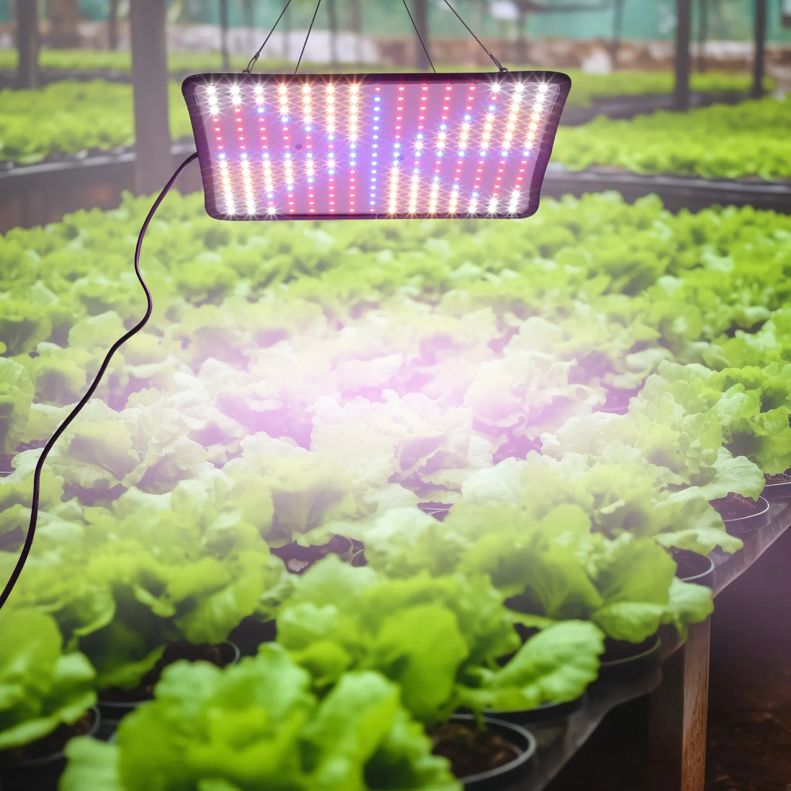 1-ensemble-de-lampes-de-croissance-led-pour-plantes-a-spectre-complet-a-intensite-variable-suspendues-pour-plantes-d'interieur-avec-chaine-luminosite-reglable-4-couleurs