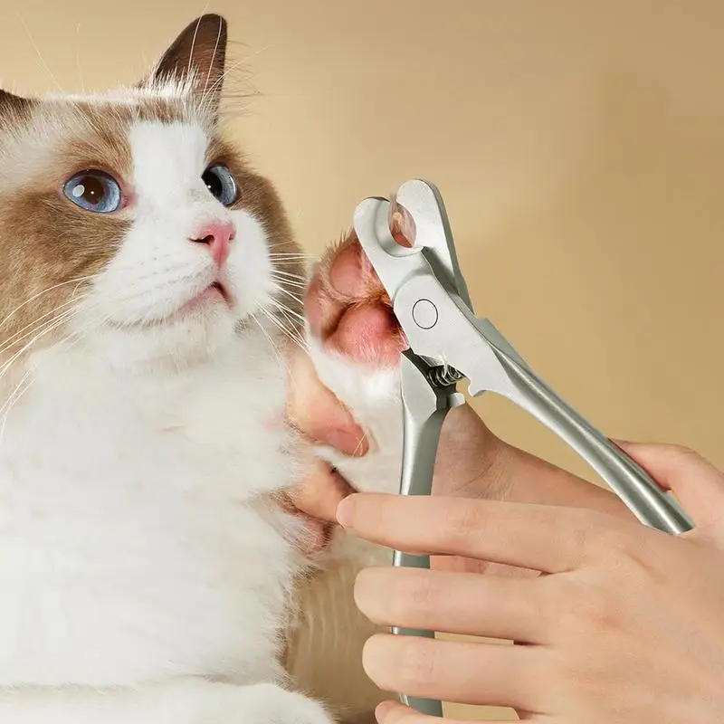 Tagliaunghie professionale per animali domestici forbici in acciaio inossidabile cane gatto per la cura degli artigli forniture per la toelettatura