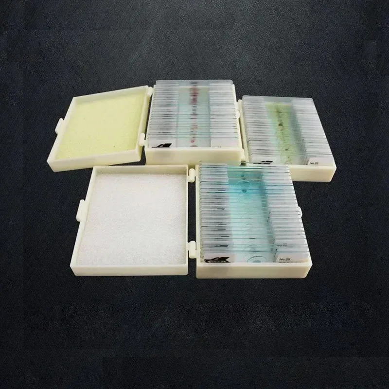

75PCS Professional Medical Study Prepared Plants Animals Insects Specimen Scetion Slice Microscope Slides Microscopio Tools