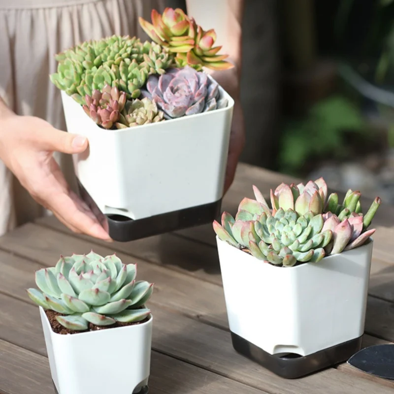 5Pcs Plant Pots, Self Watering Flower Pots Indoor Outdoor, Self Watering Planters with Drainage Hole & Clear Saucer Reservoir