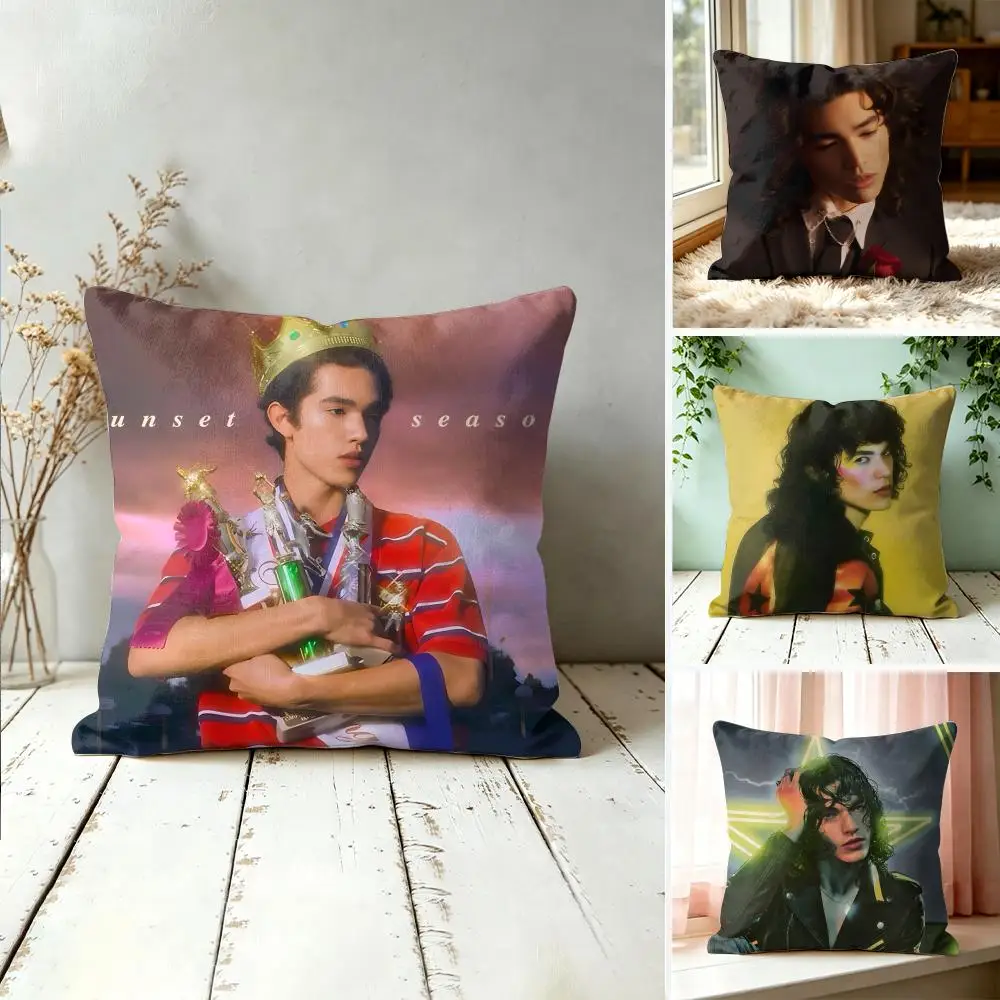 Singer C-Conan G-Gray Cushion Cover Square Pillow Bedroom Sofa Leisure Comfort Living Room Home Decoration 40X40