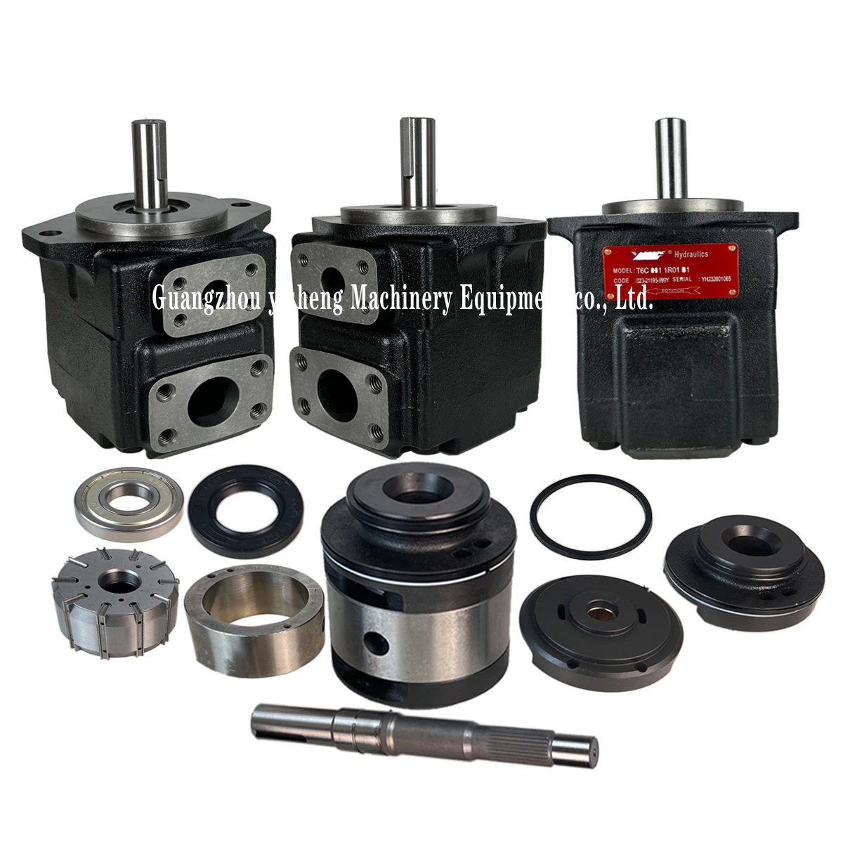 Hydraulic Pump T6 T…