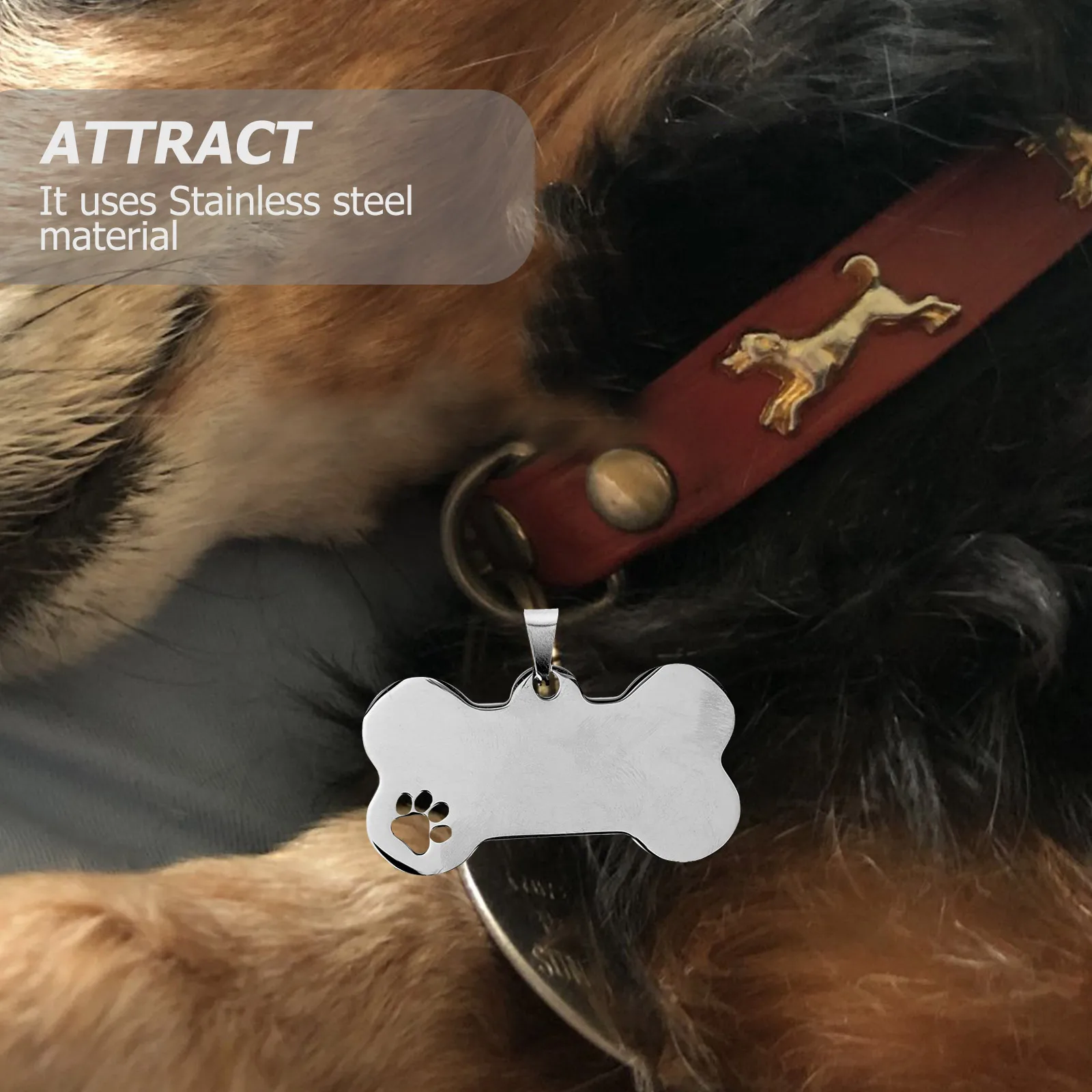 10 Pcs Stainless Steel Dog Tags Personalized Engraved Pet ID Tag Blank Dog Name Tags For Collars Harnesses Leads Bone Shape
