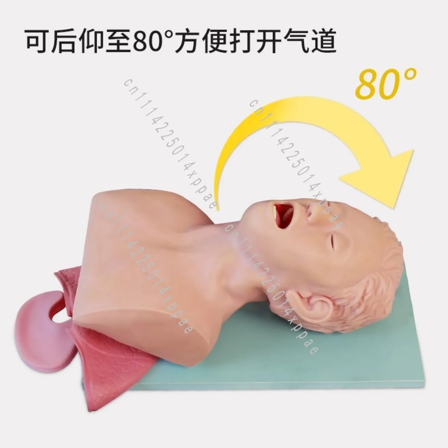 Tracheal Intubation Model Human Body with Teeth Pressure Alarm Oral, Nasopharyngeal Airway Management Training Adult Infant