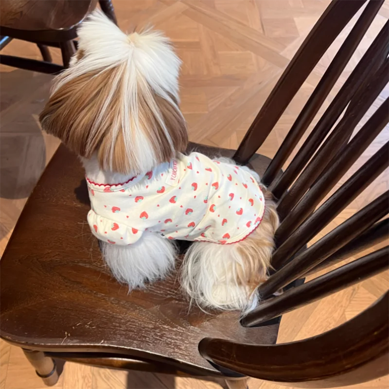 Teddy Strawberry Bottom Shirt Maltese Summer Vest Cute Pet Dog Clothes Anti Hair Loss Puppy Pullover Sweatshirt - Image 2