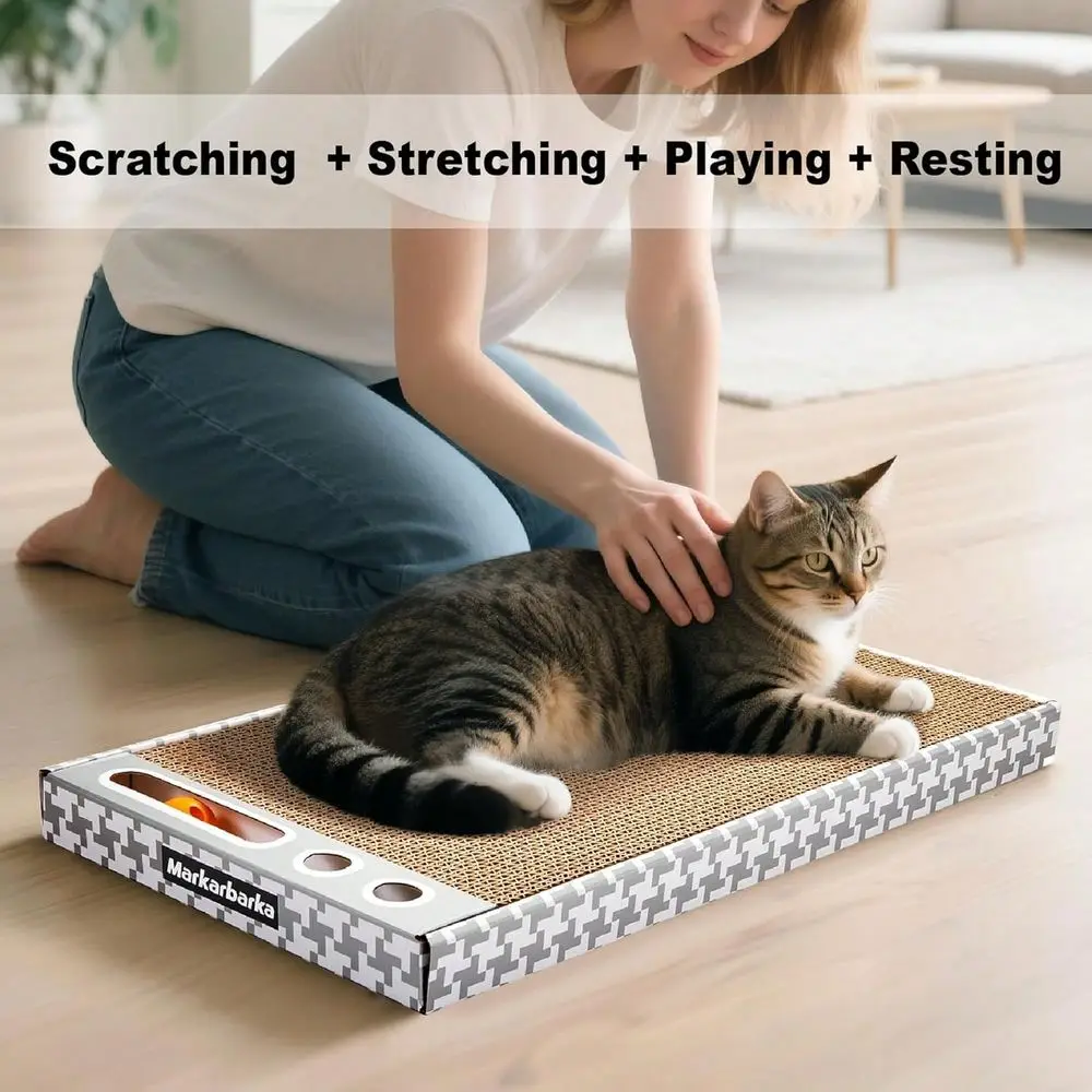 Cat Scratchers Cat …