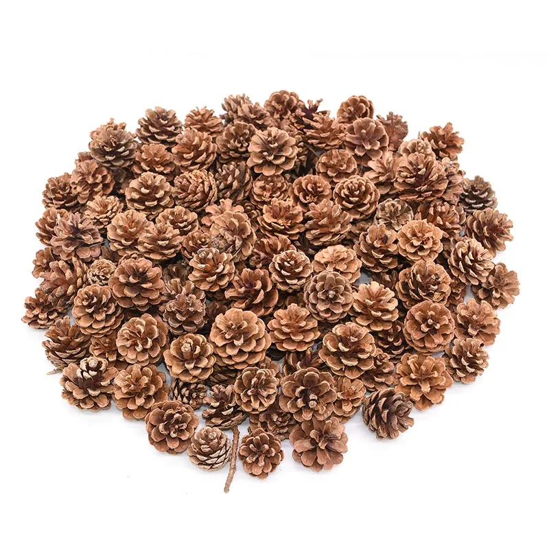 

10pcs Natural Wood Pinecone Snow Pine Cone Natural Garden Home Wreath Wedding Christmas Dried Flower Decoration DIY Material
