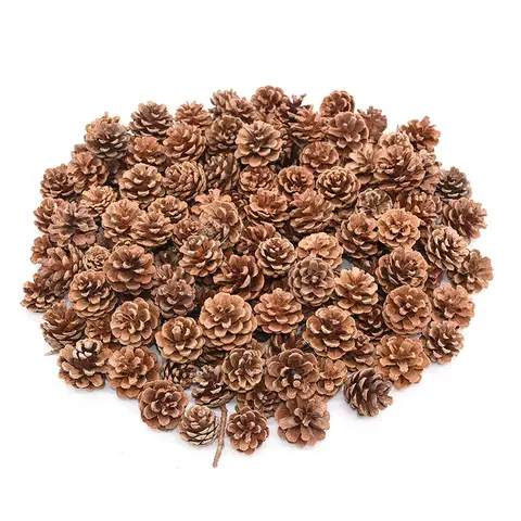 10pcs 천연 나무 Pinecone 눈 소나무 콘 자연 정원 홈 화환 웨딩 크리스마스 말린 꽃 장식 DIY 재료