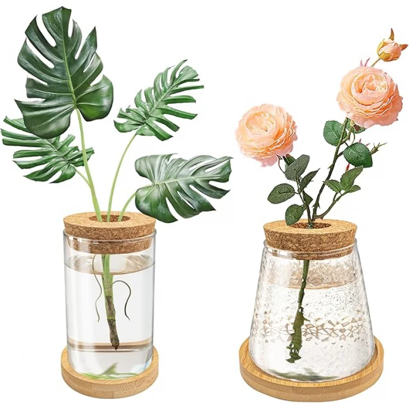 3Set Glass Hydroponic Flower Pot with Wooden Lid And Tray Succulent Green Radish Plant Container Accessories Creative Gift