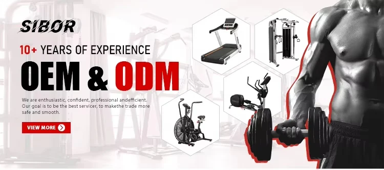 Abdominal Machine High Quality Strength Training Gym Fitness Equipment P819