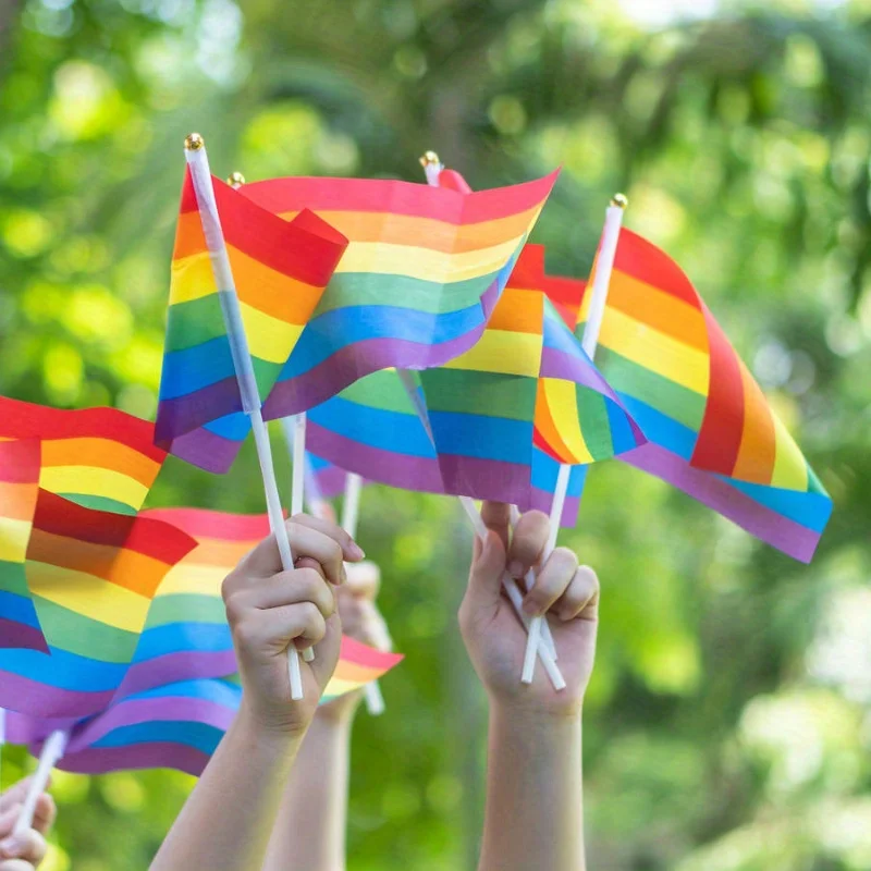 10 قطع 14X21cm قوس قزح العلم اليد المموجة العلم مثلي الجنس ثنائي الجنس المتحولين جنسيا Pansexual LGBT فخر شهر