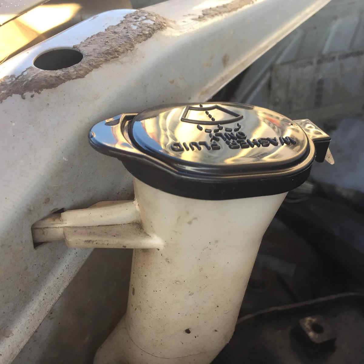 Radiator Cap Washer Bottle Cap Lid Fluid Tank Windscreen Wiper For Toyota Corolla Vios Yaris RAV4 Echo TC Replacement Auto Parts